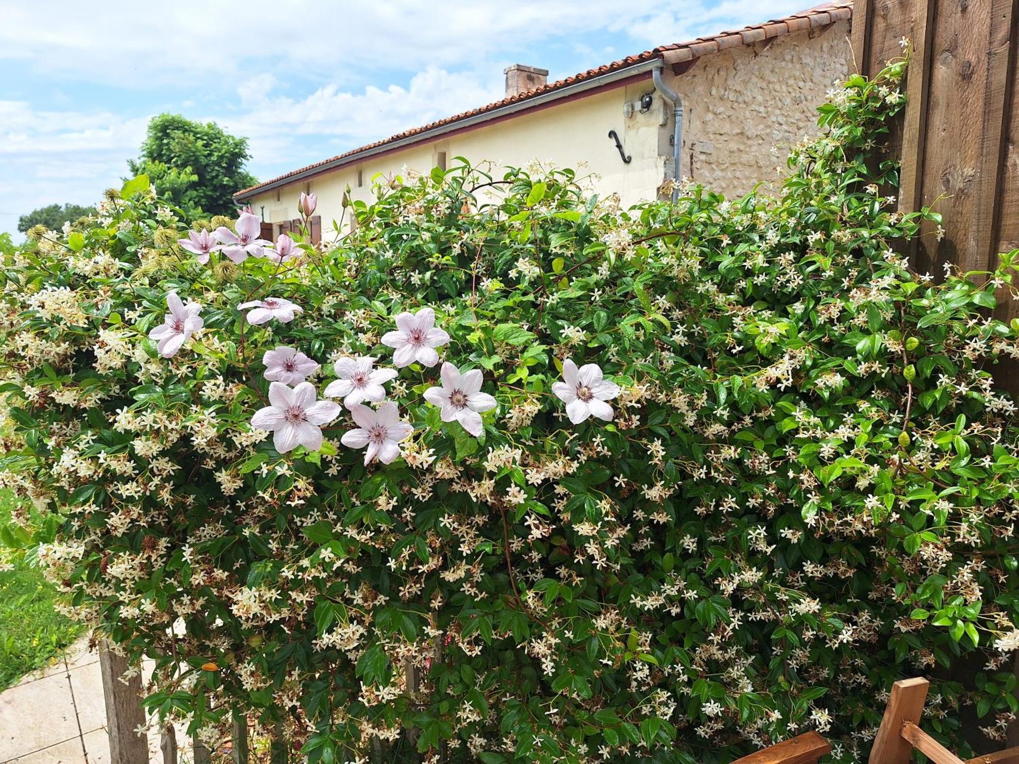 Agudelle Gite Cosy Grand Confort Dans Un Ecrin De Verdure מראה חיצוני תמונה