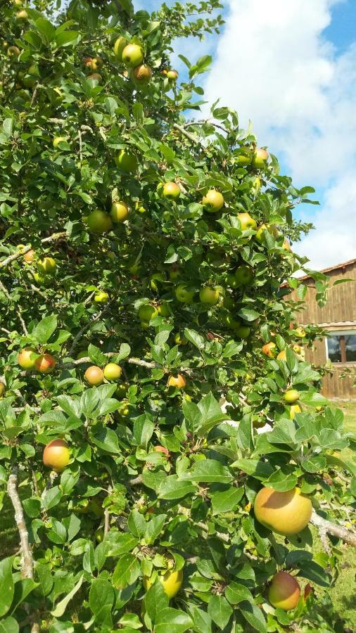 Agudelle Gite Cosy Grand Confort Dans Un Ecrin De Verdure מראה חיצוני תמונה